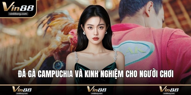 Đá gà Campuchia
