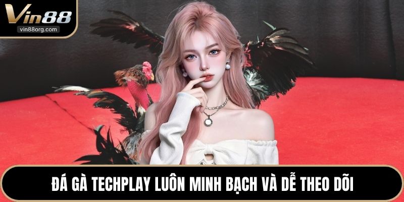 Đá gà techplay luôn minh bạch và dễ theo dõi