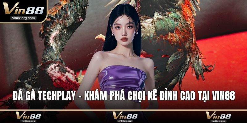 Đá Gà Techplay