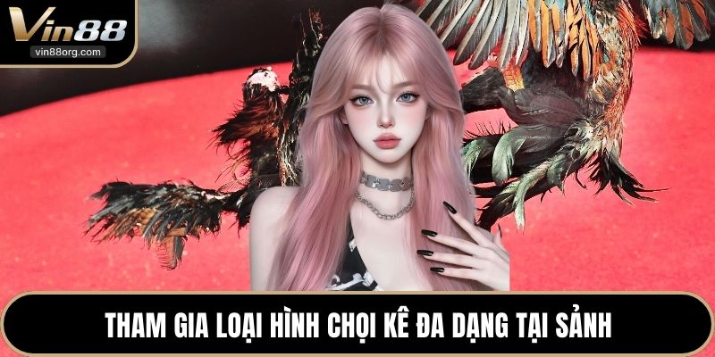 Tham gia loại hình chọi kê đa dạng tại sảnh
